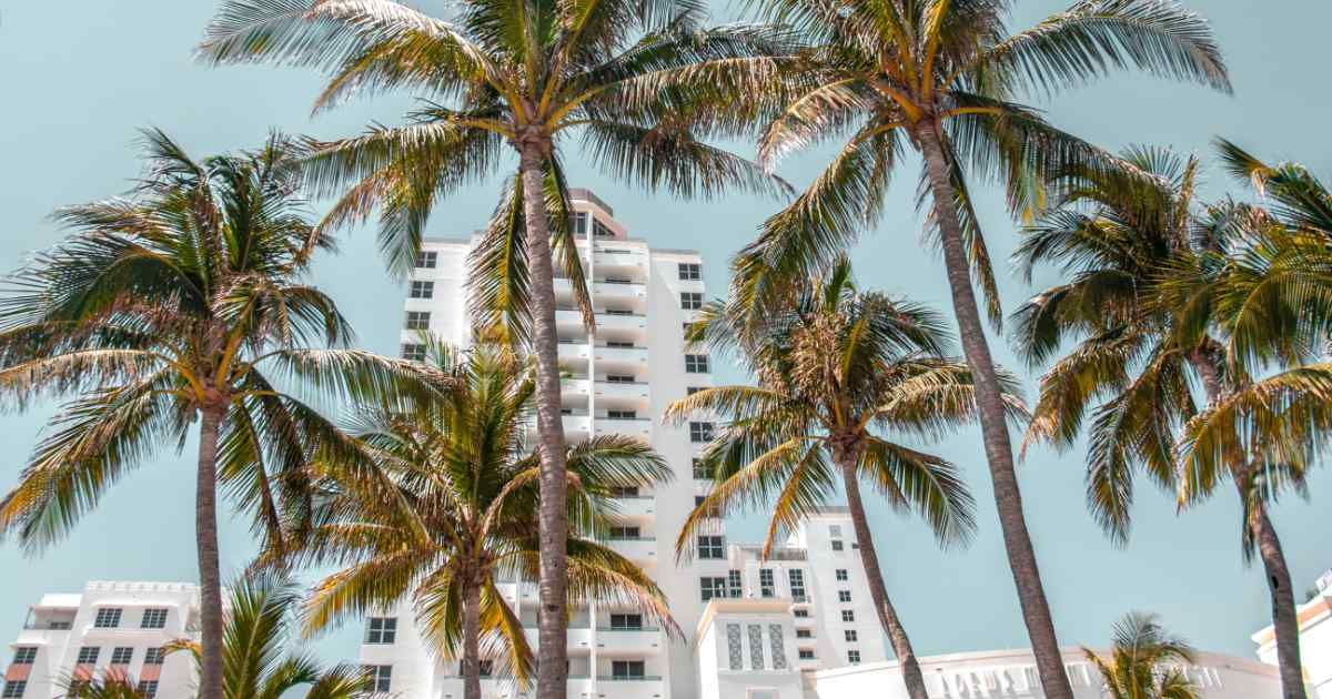 law firm marketing miami